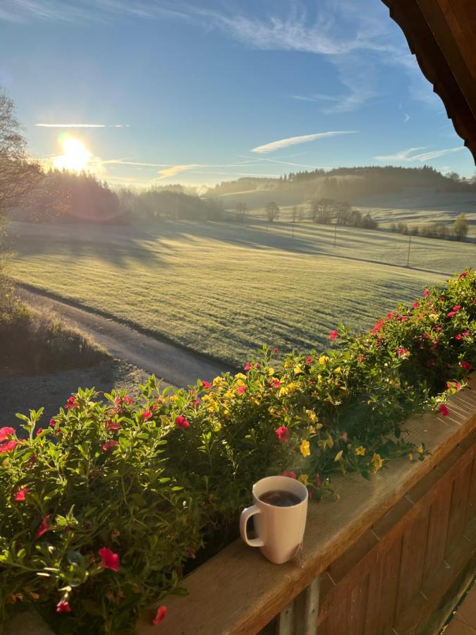 Ferienwohnung Sonnenstrahl Friesenried Exteriör bild